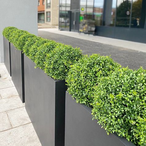 Commercial Planters Exterior Planter, Plant Troughs, Commercial Planters, Planter Project, Trough Planters, Front Garden Design, Outdoor Living Design, Square Planters, Office Plants