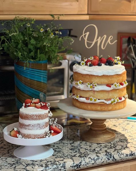 Heart Shaped Cake With Strawberries, Sweet One Cake Strawberry, Strawberry Shortcake Cake Smash, Strawberry Shortcake For Birthday, Cake Pop Strawberry, Simple Strawberry Smash Cake, Naked Strawberry Birthday Cake, First Birthday Strawberry Shortcake, First Birthday Cake Fruit