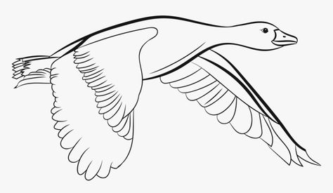 Flying Duck Drawing, Duck Flying, Goose Drawing, Fly Drawing, Duck Drawing, Duck Bird, Bird Drawing, Bird Clipart, Flying Geese