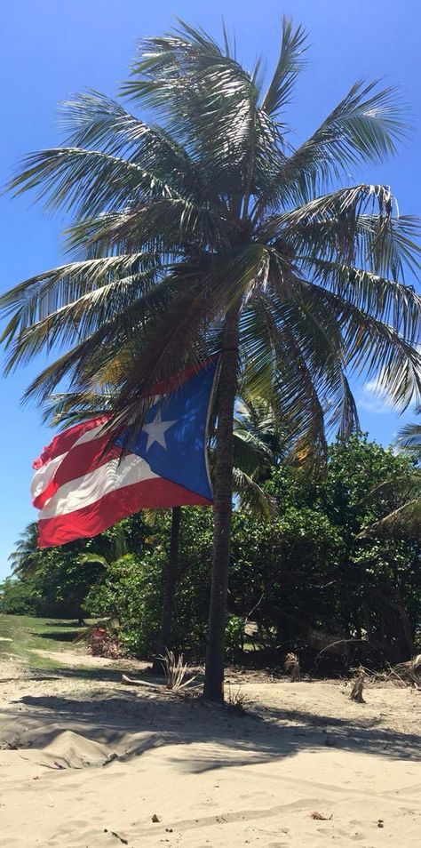 Very soon... ❤️ Puerto Rican Jokes, Puerto Rico Pictures, Puerto Rico Trip, Puerto Rico Vacation, Puerto Rico History, Puerto Rico Art, Puerto Rican Pride, Puerto Rican Culture, Summer Backgrounds