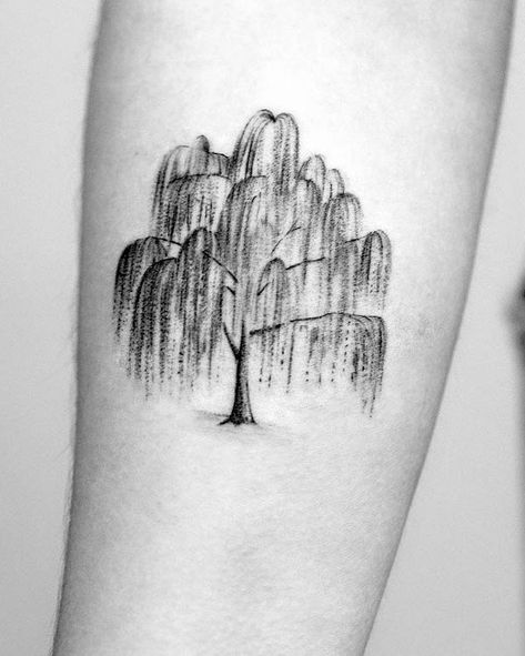 Crepe Myrtle Tree Tattoo, A Tree Falls The Way It Leans Quote Tattoo, Weeping Willow Tattoos For Women, Tree On Spine Tattoo, Nature Tattoos With Meaning, Minimalist Willow Tree Tattoo, Weeping Willow Tree Tattoo Meaning, Willow Tree Tattoo Small Simple, Spirit Tree Tattoo