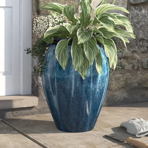 Birch Lane™ Jalissa Ceramic Pot Planter | Wayfair Blue Flower Pots On Front Porch, Courtyard Landscaping, Front Stoop, Corten Steel Planters, Blue Planter, Steel Planters, River House, Beautiful Backyards, Planter Box