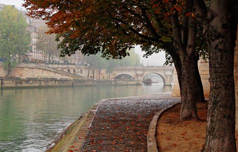 Prancis Paris, Paris Autumn, Paris In The Fall, Paris In Autumn, Live Drawing, Paris Dream, Beautiful Paris, Paris Aesthetic, Quiet Life