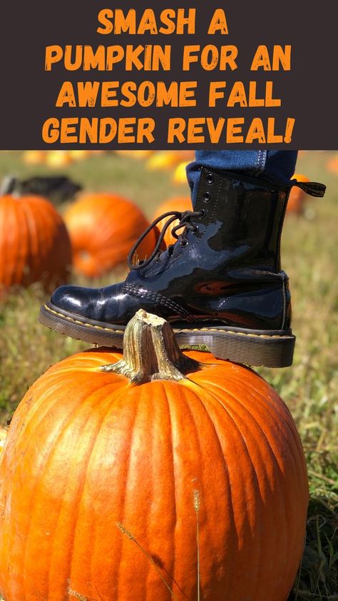 Gender Reveal Colors, Powder Gender Reveal, Fall Gender Reveal Party, Unique Gender Reveal Ideas, Unique Gender Reveal, Pumpkin Gender Reveal, Pumpkin Smash, Halloween Gender Reveal, Gender Reveal Unique