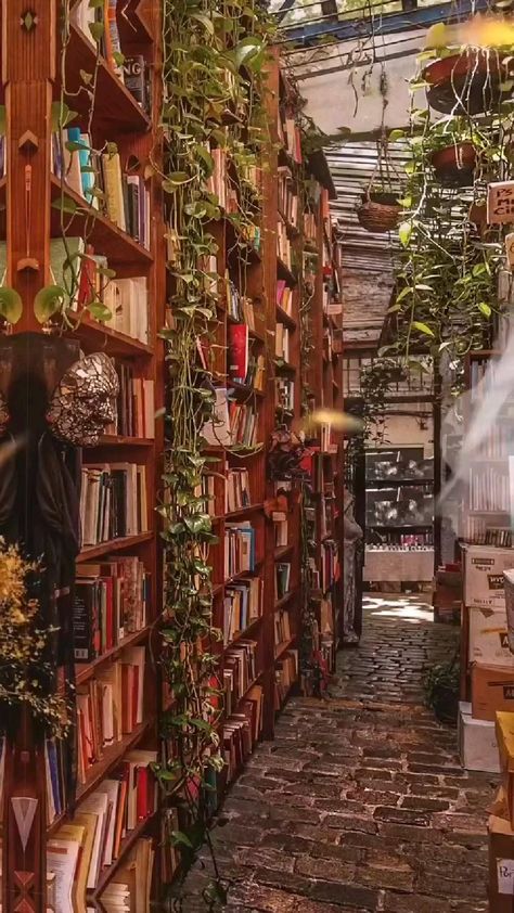 Books Aesthetic Video, Creating Reality, Book Core, Reader Aesthetic, Background Reference, Study Corner, Dream Library, Library Aesthetic, Home Library Design