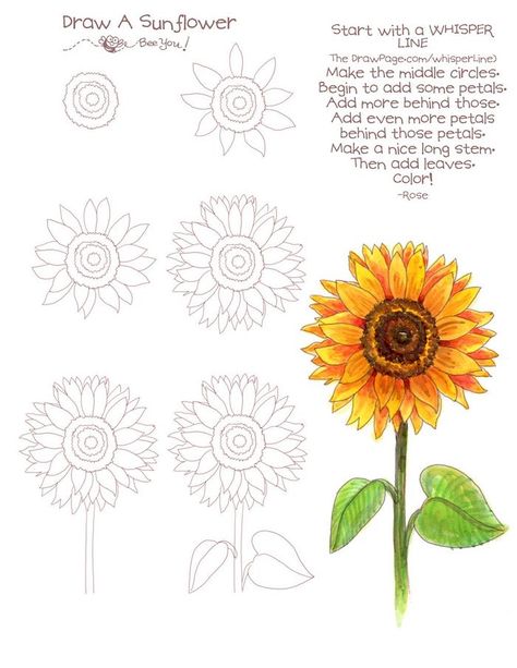 how-to-draw-a-sunflower-simple-flower-drawingstep-by-step-diy-tutorial Draw A Sunflower, A Drawing, Colored Pencils, Sunflower, Flowers, Coloured Pencils