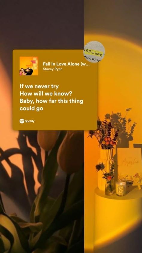 Spotify lyrics 💫 Fall in love alone by Stacey Ryan Fall In Love Alone, Spotify Lyrics, Love Songs Lyrics, Songs Lyrics, Love Songs, Song Lyrics, Fall In Love, Falling In Love, In Love