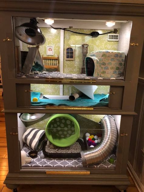 Thanks to Sarah Jean for her generosity in allowing us to share this clever and cozy diy hedgehog home she built. It's got all the things a hedgehog could want! Diy Hedgehog Cage, Hedgehog Pet Cage, Diy Hedgehog, Hedgehog Home, Hedgehog Habitat, Hedgehog Care, Hedgehog Cage, Pygmy Hedgehog, Parakeet Cage