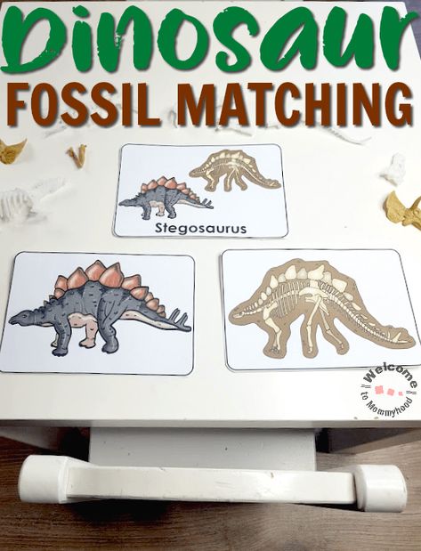 Dinosaur Fossil Matching (from Welcome to Mommyhood on TpT) Dinosaur Activities For Kids, Crafts Dinosaur, Dinosaurs Kindergarten, Dinosaur Unit Study, Dinosaur Activities Preschool, Welcome To Kindergarten, Science Centers, Dinosaurs Preschool, Dinosaur Fossil