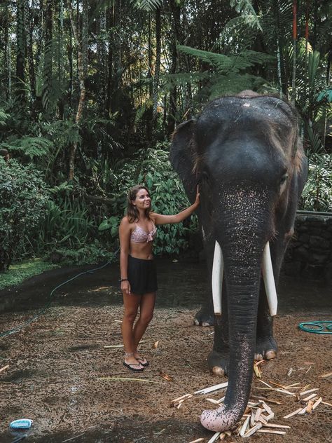 Mason Elephant Sanctuary in Bali, Indonesia Instagram: jonny.melon Bali Elephant, Lovina Bali, Elephant Rescue, Elephant Park, Bali Guide, Voyage Bali, Bali Honeymoon, Bali Vacation, Bali Holidays