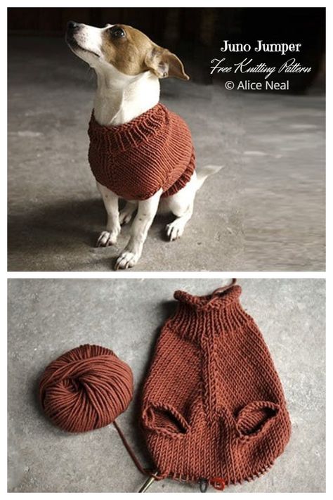 Knit Dog Sweater Free Knitting Patterns - Knitting Pattern Sweater For Cat Pattern, Knit Pet Sweater Free Pattern, Doggie Sweater Knit Pattern Free, Knit Sweater For Cat, Cat Clothes Knitting Pattern, Dog Knit Sweater Pattern Free, Chunky Knit Dog Sweater Free Pattern, Cat Sweater Knitting Pattern Easy Free, Knitting Patterns For Cats