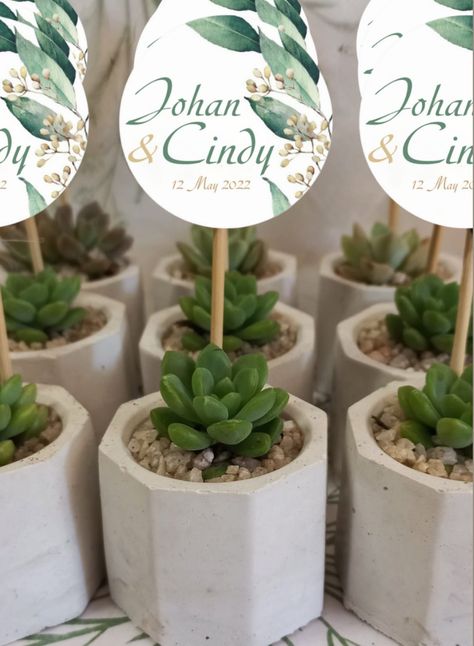 Succulent Wedding Favors in Octagonal Pots Honey Wedding Favors, Succulent Wedding Favors, Succulent Favors, Custom Chocolate, Succulent Gifts, Succulent Wedding, Small Potted Plants, Personalized Candles, Burgundy And Gold