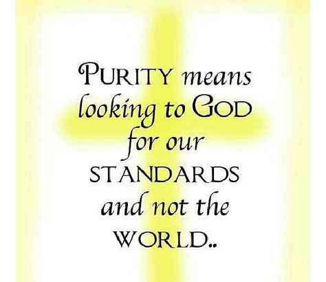 Purity is like holiness. A lot of people who don't understand Christianity see the Bible as a book of rules that make life miserable. NO! God gives us these rules because He sees the BIG PICTURE. Following the beautiful and perfect way God set out for us will save you so much pain, and it breaks his heart when you slap Him in the face and decide to choose sorrow and stress over His joy, peace and love. Purity Quotes, Modesty Quotes, True Love Waits, Godly Wisdom, Godly Relationship, Verse Quotes, Bible Verses Quotes, Christian Life, The Words