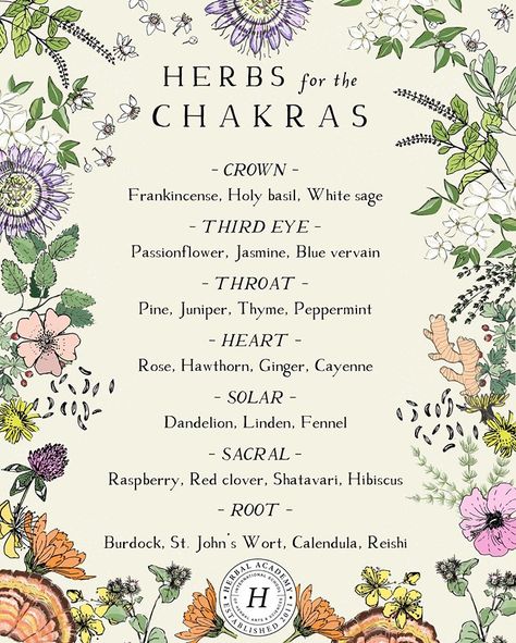 Herbs & the Chakras, from The Herbarium membership. 🌸💛🌺☘️ "...we often think of our bodies as a physical form, a collection of cells,… Herbology Herbal Medicine, Herbal Medicine Quotes, Herbs For Capricorn, Smokable Herb Blends Diy, Herbs For Grounding, Smokeable Herbs And Flowers, Herbs For Happiness, Herbology Witchcraft, Herbs For Mental Health