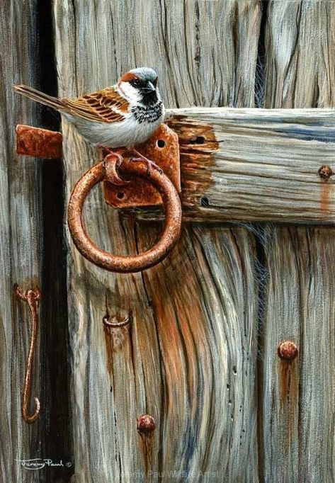 Community wall photos – 18,733 photos | VK Sparrow Art, Canvas Art Painting Abstract, Soyut Sanat Tabloları, Wildlife Paintings, Wildlife Artists, Airbrush Art, Piece Of Art, Bird Pictures, Bird Drawings