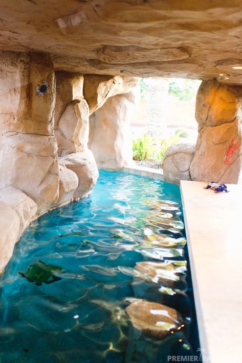 Freeform Custom Pool with Grotto Cave in Gilbert Arizona | Premier Paradise Inc. Pool Grotto, Grotto Pool, Mini Swimming Pool, Indoor Pool House, Indoor Pool Design, Dream Backyard Pool, Piscina Interior, Kitchen Basics, Pool Party Decorations