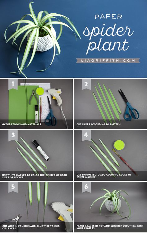 ขวดโหล Mason Jar, Hiasan Dinding Diy, Paper Spider, Spider Plant, Dollhouse Miniature Tutorials, Paper Plants, Dollhouse Miniatures Diy, Diy Papier, Seni Origami