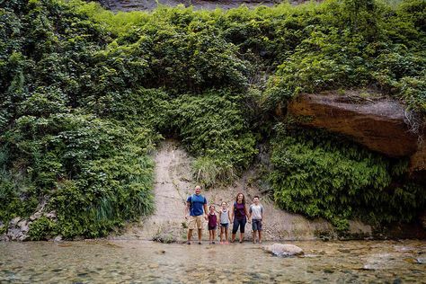 12 Amazing But Easy Hikes in Zion Utah With Kids, Cedar City Utah, The Nautilus, Mountain Bike Tour, Utah Road Trip, Cedar City, Canyon Road, Summer Destinations, Dream Travel Destinations