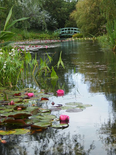 Monet Bridge, Lily Core, Pond Painting, Lily Painting, Water Lilly, Lotus Pond, Water Gardens, Flower Landscape, Late Spring