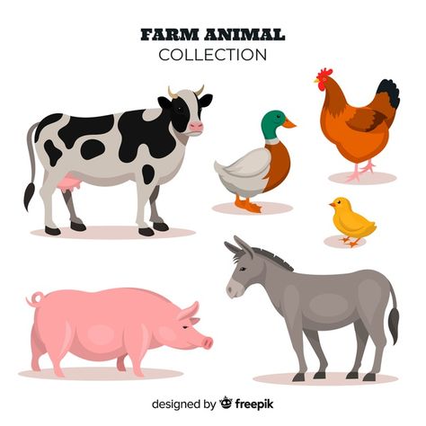 Flat design farm animal collection Free ... | Free Vector #Freepik #freevector #freedesign #freenature #freeanimal #freefarm Blood Clotting, Farm Animal Crafts, Improve Immune System, Zestaw Ikon, Animal Illustration Art, Preschool Activities Toddler, Barnyard Animals, Animal Activities, Animal Farm