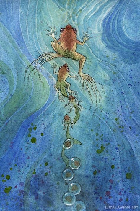 Metamorphosis Art, Frog Illustration, Watercolor Projects, Spirited Art, Frog Art, Art Folder, A Frog, Art Courses, Big Art