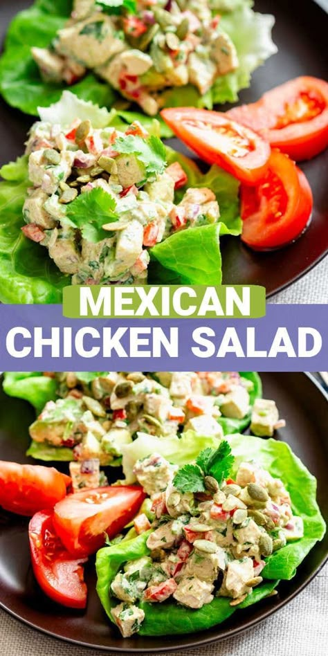 Mexican Chicken Salad Lettuce Wraps with creamy avocado, cilantro + jalapeno. A satisfying healthy, low-carb lunch or dinner with a Mexican vibe! Wraps With Avocado, Mexican Chicken Salad, Chicken Salad Lettuce Wraps, Chicken Salad Lettuce, Mexican Chicken Salads, Salad Lettuce, Lettuce Wrap Recipes, Meat Salad, Seasonal Salad