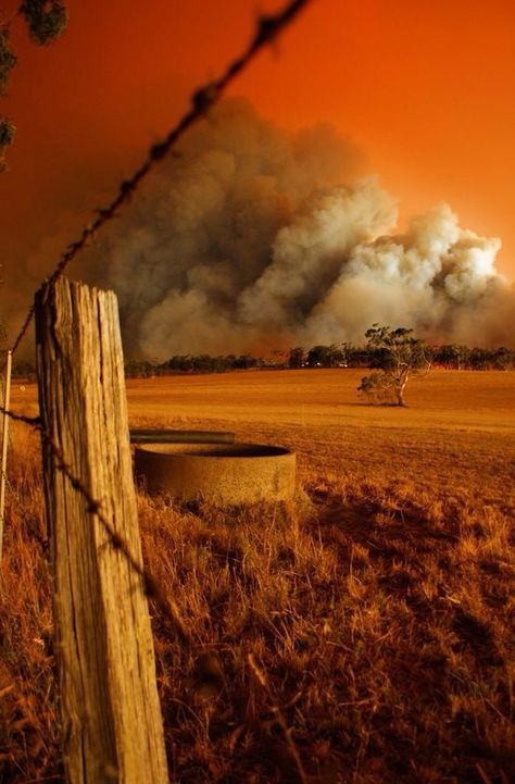 Bush Fire, Australia Landscape, Home Australia, Australia Home, Australian Travel, Outback Australia, Australian Outback, Australian Bush, Land Of Oz