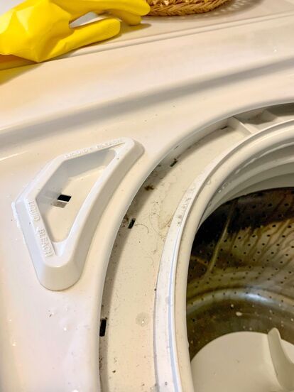 Learn how to give your top-load washing machine a deep clean with our easy step-by-step guide. Banish bad smells and keep your laundry fresh by following these simple tips for a like-new machine! How To Deep Clean Washing Machine Top Loader, Cleaning A Top Loader Washing Machine, Toploader Washing Machine Laundry Room, Deep Clean Washing Machine Top Loader, Cleaning Washing Machine Top Loader, Clean Washing Machine Top Loader, Washing Machine Smell, Speed Queen Washer, Clean Washer