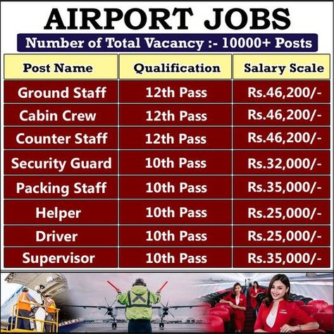 Salary Scale, Cabin Crew Jobs, Airport Jobs, Airline Jobs, Flight Attendant Life, Cabin Crew, Flight Attendant, Airlines, How To Apply