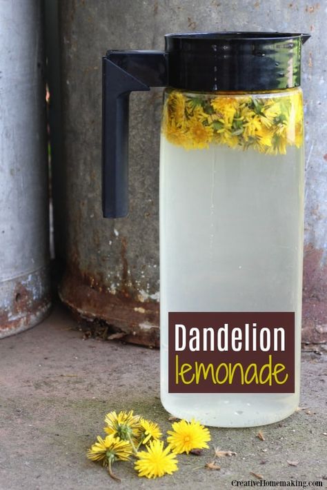 Dandelion Lemonade, Edible Flowers Recipes, Foraging Recipes, Dandelion Art, Edible Wild Plants, Foraged Food, Herbal Recipes, Dandelion Recipes, Dandelion Flower