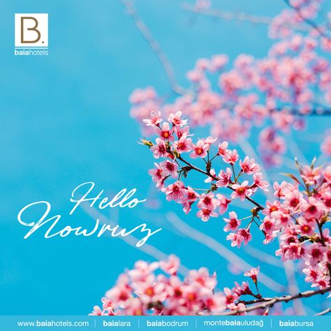 May everyday of the year glow with good cheer & happiness for you & your family Nowruz Mubarak! #baiahotels #baialara #nowruz2018 Nowruz Mubarak, Beautiful Cake Designs, Beautiful Cake, Good Cheer, Beautiful Cakes, Cake Designs, The Year, Holidays, Graphic Design