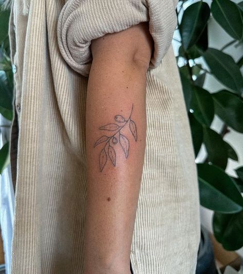 Olive Branch Tattoo On Wrist, Vine Branch Tattoo, Olive Branch Tattoo Back Of Arm, Christian Olive Branch Tattoo, Olive Branch Stamp Tattoo, Simple Branch Tattoo, Be In The Moment Tattoo, Olive Branch Tattoo Placement, Olive Branch Tattoo Forearm