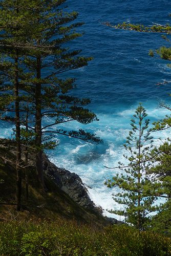 Norfolk Island, Pine Island, Beach Bum, Australia Travel, New South Wales, Amazing Nature, Norfolk, Beautiful World, The Great Outdoors