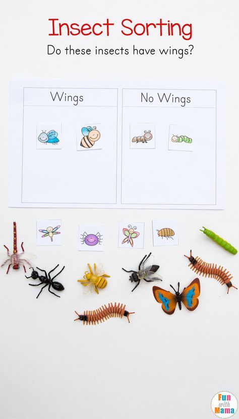 Preschool Insect Theme Sorting Worksheet + Bug Activities - Fun with Mama #preschool #homeschool #insect #sorting #finemotor #bugs Bug Large Group Activities Preschool, Wing Activities Preschool, Insects Prek Activities, Insect Activity For Preschool, Learning About Bugs Preschool, Insect And Spiders Preschool Activities, Insect Curriculum Preschool, Insects Study Creative Curriculum, Bug Math Preschool