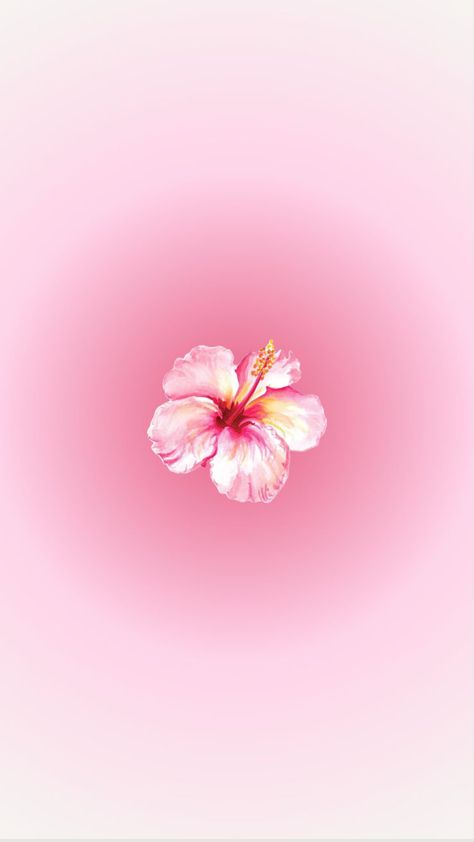 Hibiscus Flower Wallpaper Aesthetic, Flower Backround, Pink Wallpaper Desktop, Pink Wallpaper Ipad, Cute Images For Wallpaper, Iphone Wallpaper Stills, Cute Summer Wallpapers, Pink Wallpaper Backgrounds, Phone Wallpaper Pink