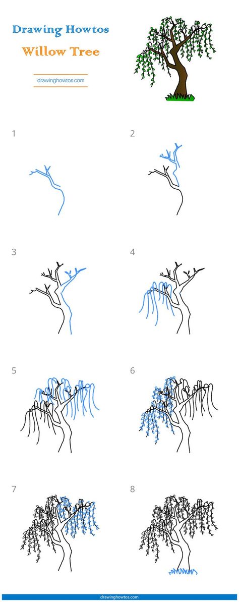 How to Draw a Willow Tree - Step by Step Easy Drawing Guides - Drawing Howtos Drawing A Willow Tree, How To Draw Willow Trees Step By Step, How To Draw A Willow Tree Step By Step, How To Paint A Willow Tree Step By Step, Easy Willow Tree Drawing, Weeping Willow Tree Drawing Step By Step, How To Draw A Weeping Willow Tree, Yew Tree Drawing, Willow Tree Drawing Step By Step