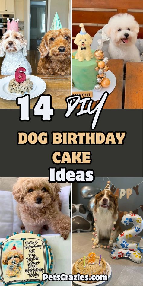 Image showcases four adorable DIY dog birthday cake ideas for celebrating your pup's special day. The text "14 DIY Dog Birthday Cake Ideas" is bold, set in playful fonts over images of dogs with various cakes. Styles include a cake with dog-shaped toppers, a peanut butter cake, and a customized cake featuring a portrait of the birthday pup. The theme is festive and fun, with dogs wearing birthday hats, highlighting creative cake ideas for dog owners. Dog Birthday Cake Ideas, Dog Birthday Cake Banana, Diy Dog Birthday Cake, Cake For Dogs Birthday Ideas, Dogs Birthday Ideas, Dogs First Birthday Ideas, Dog Birthday Photoshoot, Dog Friendly Cake, Puppy Birthday Cakes