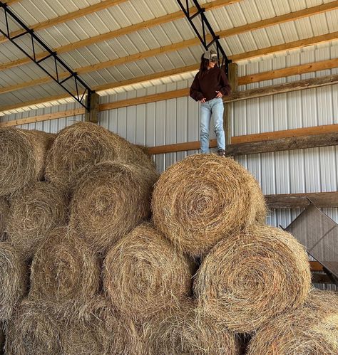 Traded palm trees for hay bales this week Bale Of Hay, Dream List, Hay Bales, Palm Trees, Abc, Trees, On Instagram, Quick Saves, Instagram