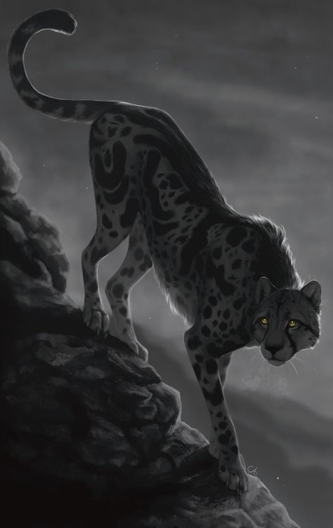 Pet Cheetah :: Clique art Wild Cats Drawing, Black Panther Animal Art, Fantasy Cheetah, Cheetah Oc, Cheetah Character, Pet Cheetah, King Cheetah, Cheetah Drawing, Cheetah Art