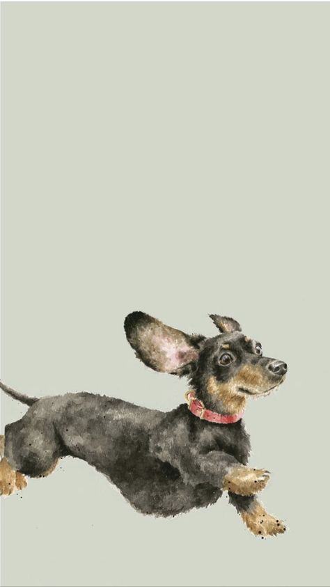 Dachshund Phone Wallpaper, Wrendale Wallpaper, Dachshund Wallpaper Iphone, Sausage Dog Wallpaper, Daschund Wallpaper, Dachshund Drawings, Dog Phone Wallpaper, Daschund Art, Dachshund Wallpaper