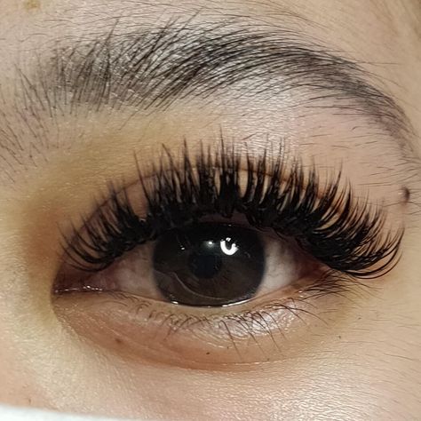 Dolly Eyelash Extension, Eyelashes Extensions, Eyelash Extension, Eyelash Extensions, Baby Dolls, Eyelashes, Lashes, Birthday, On Instagram