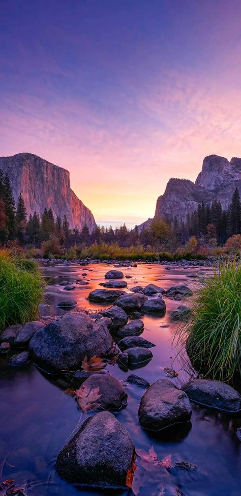 Yosemite Photos, Super Bloom, Canon 700d, Park Pictures, California National Parks, Yosemite Valley, Sunset Photos, Yosemite National, Yosemite National Park