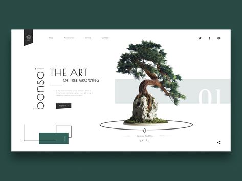 Bonsai Shop, Travel Website Design, Website Banner Design, 포트폴리오 레이아웃, Best Website Design, Webdesign Inspiration, Header Design, Website Header, Webpage Design