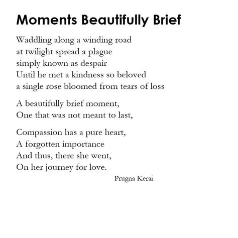 A poem about love's journey - inspired by Hermione Granger's monologue There She Goes, Single Rose, Blooming Rose, A Poem, About Love, Hermione, Love Poems, Poetry, In This Moment