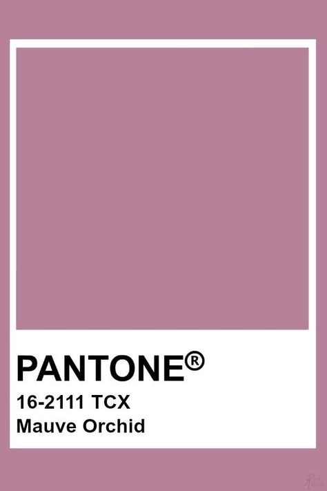 mauve orchid pantone 16-2111 TCX Dusty Pink Pantone, Mauve Pantone, Pantone Tcx, Pantone Colours, Zyla Colors, Brand Moodboard, Pantone Color Chart, Pantone Swatches, Colour Swatches