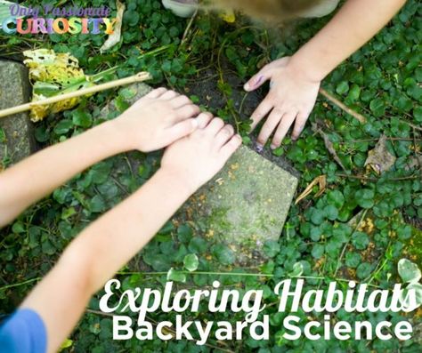 Backyard Science Backyard Science, Backyard Nature, Dating Over 40, Study Activities, Science Stem, Types Of Play, Stem Steam, Nature Play, Science Lab