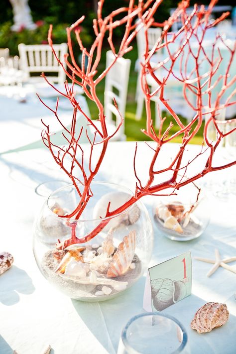 Ocean Theme Table Decorations, Coral Theme Party, Coral Display, Coral Centerpieces, Driftwood Centerpiece, Modern Beach Decor, Beach Coral, Ocean Theme Party, Beach Wedding Centerpieces