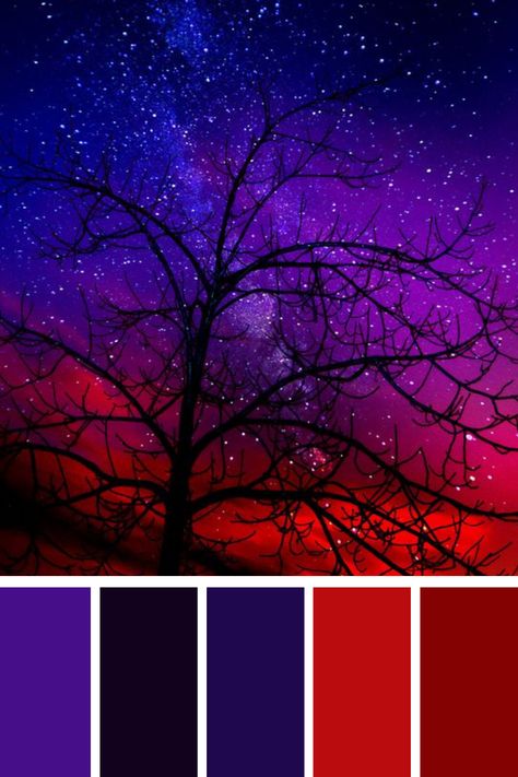 Starry Night with Silhouetted Tree: A mesmerizing night sky filled with stars and a gradient of deep purples and reds frames the silhouette of a bare tree. This red and purple color palette conveys a sense of wonder and serenity, highlighting the ethereal beauty of the cosmos. Red Black Purple Color Palette, Colors That Go Good With Purple, Magenta And Black Color Palette, Red Blue Purple Aesthetic, Purple Monochrome Color Palette, Maleficent Color Palette, Underworld Color Palette, Color Palette For Coloring, Wizard Color Palette