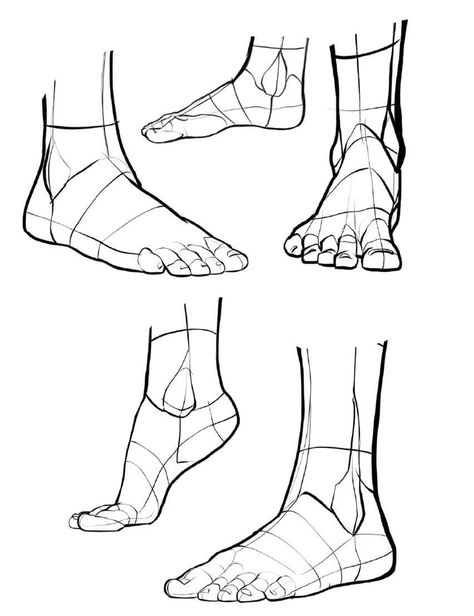 Poses For Artists, Leg Reference, Feet Drawing, Foot Anatomy, Female Anatomy Reference, Body Part Drawing, Human Anatomy Drawing, Art Basics, Human Anatomy Art