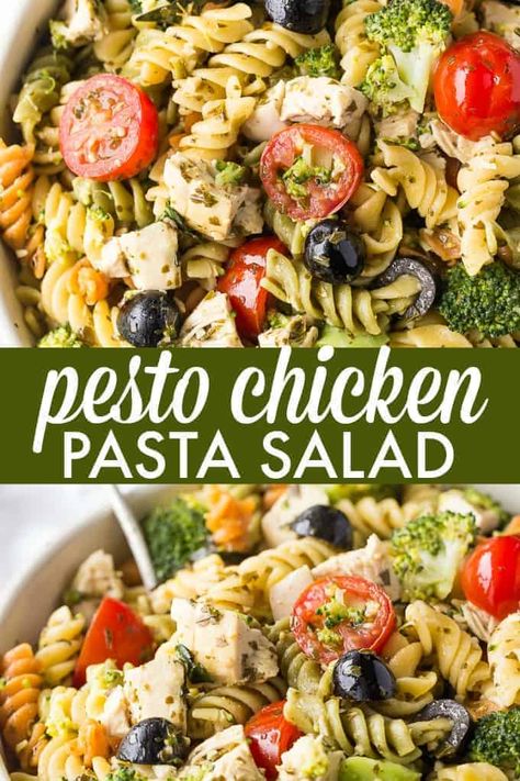 Pesto Chicken Pasta Salad, Chicken Pesto Pasta Salad, Chicken Pasta Salad Recipes, Sauce Pesto, Chicken Caesar Pasta Salad, Greek Chicken Salad, Pesto Salad, Pasta Pesto, Pesto Pasta Salad